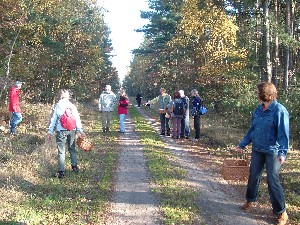 Praxistour - Pilzwanderung-Fundstelle_1