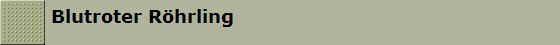 Blutroter R�hrling