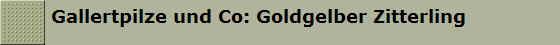Gallertpilze und Co: Goldgelber Zitterling