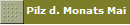Pilz d. Monats Mai 