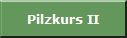 Pilzkurs II