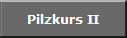 Pilzkurs II