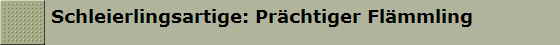 Schleierlingsartige: Pr�chtiger Fl�mmling