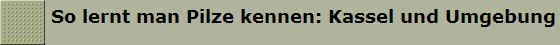 So lernt man Pilze kennen: Kassel und Umgebung