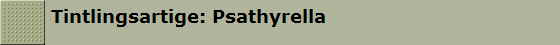 Tintlingsartige: Psathyrella