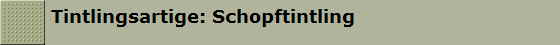 Tintlingsartige: Schopftintling