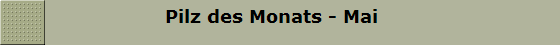                    Pilz des Monats - Mai