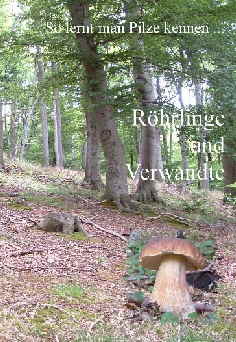 DVD- So lernt man R�hrlinge kennen_1