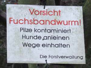 Fuchsbandwurm-Schwindeleien_1