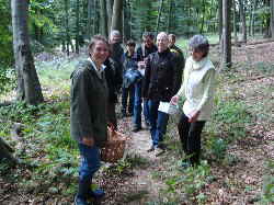 Pilze im Fernsehen_1