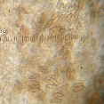 Sporen_1
