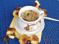 Winterpilze - Suppe_1 Winterpilze - Suppe_1