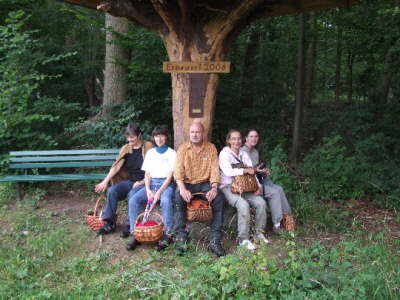 Burgberg-Pilz