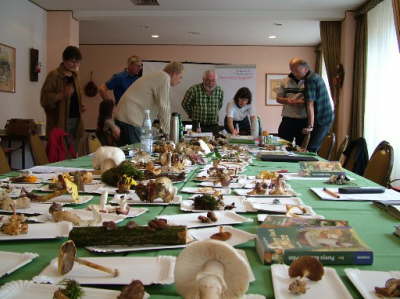 Pilzberaterseminar in Dassel