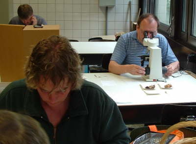Pr�fung und Selbststudium
